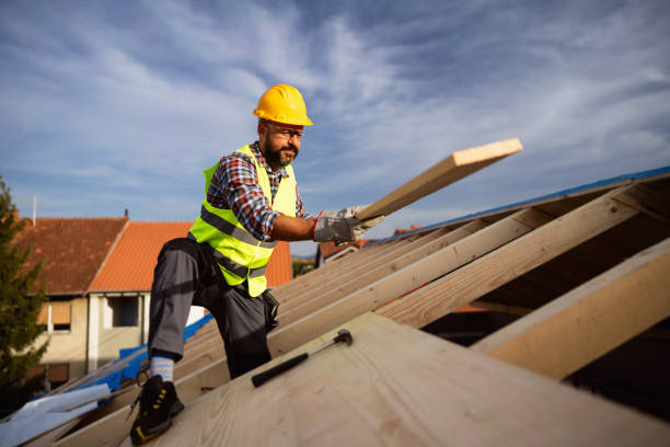 Sheet Metal Roofing in Waianae, HI